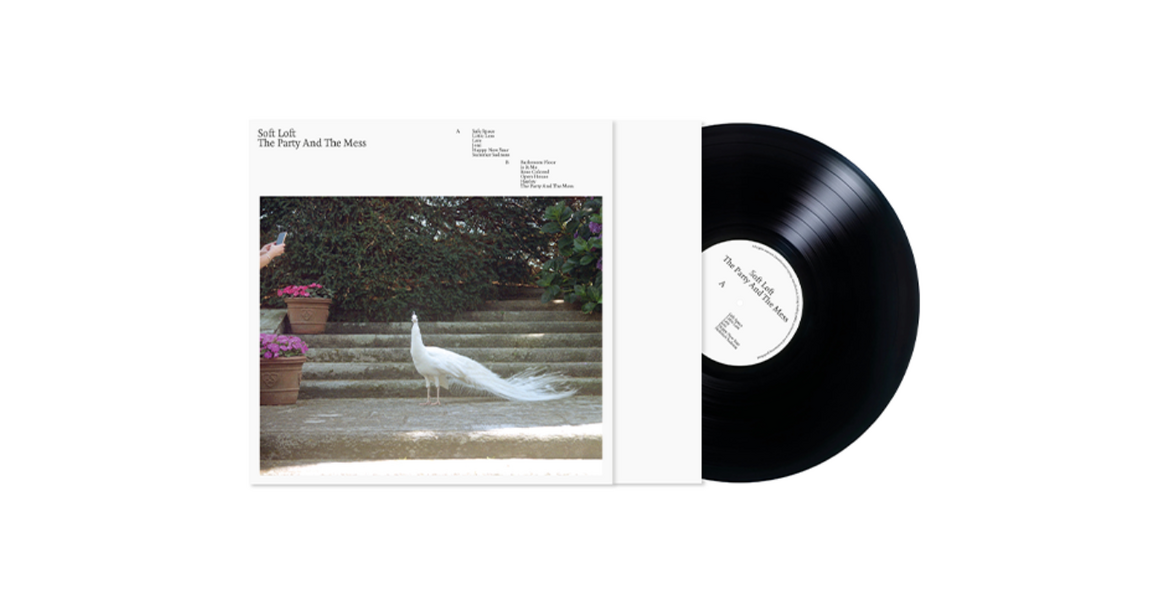  The Party And The Mess, Standard Vinyl 