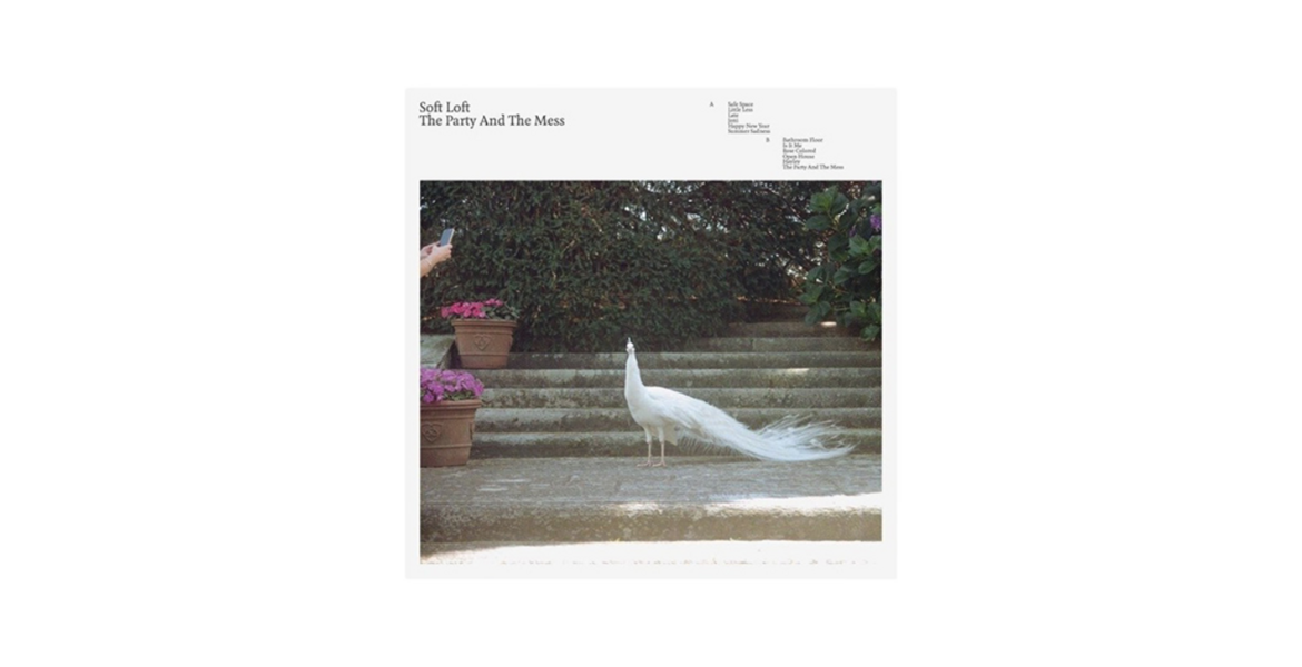 The Party And The Mess, CD
